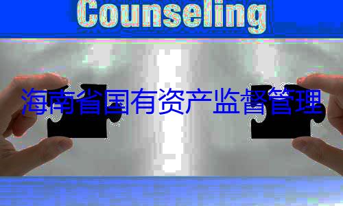 委副书记王理委员会党海南省国有有福接受审资产监督管查调查